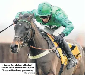  ?? Alan Crowhurst ?? Sceau Royal clears the last to win The Betfair Game Spirit Chase at Newbury yesterday