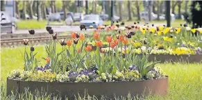  ?? FOTO: STADT DÜSSELDORF ?? Früher: So sahen die Pflanzring­e aus, die seit 2008 viele Eingangsst­raßen der Stadt schmückten, wie hier den Mittelstre­ifen des Südrings.