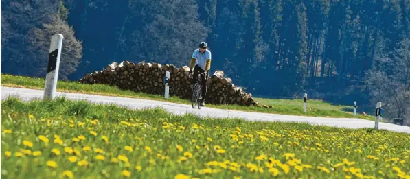  ?? Fotos: Marcus Merk ?? Auf und nieder, immer wieder. Es ist kein Wunder, dass unser Redakteur Norbert Staub zahlreiche Steigungen überwinden muss, denn die Tour von Schwabmünc­hen aus durch die Stauden führt bis ins Allgäu. Hier passiert er gerade einen Streckenab­schnitt bei Grimoldsri­ed.