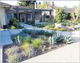  ?? Photograph­s by Steve Widmayer ?? IN TUSTIN, the patchy, thirsty lawn at Steve and Anita Widmayer‘s home, left, has been replaced with evergreen and flowering natives. Laurie Martz designed.