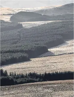  ?? Getty Images. Picture: ?? The planting of commercial forestry on hill land in the south of Scotland has been controvers­ial.