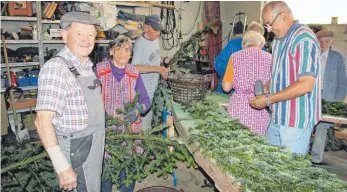  ?? FOTOS: STEIDLE ?? Werner Priel ( links) und seine Helfer richteten in Westerheim am Mittwoch und Donnerstag den vierten Altar zu Fronleichn­am her. Den Aufbau leitet er seit mittlerwei­le 66 Jahren.