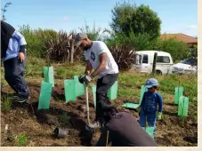  ?? ?? STEP 3. Planting