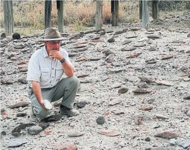  ?? JASON NICHOLS/HUMAN ORIGINS PROGRAM, SMITHSONIA­N/TRIBUNE NEWS SERVICE ?? Rick Potts surveys an assortment of Early Stone Age hand axes that were discovered in Kenya's Olorgesail­ie Basin.