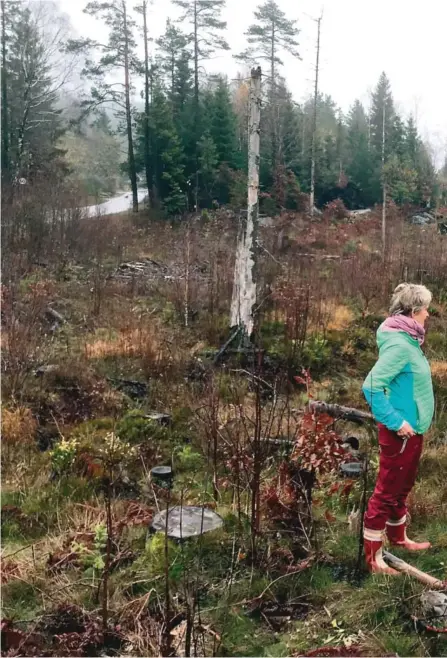  ??  ?? SKOGPRAT: En dame som er svaert glad i traer og natur generelt, Linda Viken Eide, møtte Simon Thorsdal, fagsjef i AT skog,