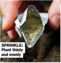  ??  ?? SPRINKLE: Plant thinly and evenly