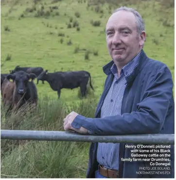  ?? PHOTO: JOE BOLAND, NORTHWEST NEWS PIX ?? Henry O’Donnell pictured with some of his Black Galloway cattle on the family farm near Drumfries, Co Donegal