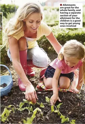  ??  ?? Allotments are great for the whole family, and having a separate section of your allotment for the children is a good way to get young ones involved