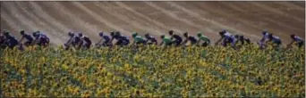  ?? PETER DEJONG — THE ASSOCIATED PRESS ?? The pack passes a field of sunflowers during the 14th stage of the Tour de France on Saturday.