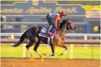  ?? MARK J. TERRILL/ ASSOCIATED PRESS ?? Donna Veloce, entered in the Juvenile Fillies horse race, works out on the track at Santa Anita.