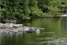  ?? BEN HASTY — MEDIANEWS GROUP ?? Gone are the days of sewage and coal mine pollutants in the Schuylkill River, which provides drinking water to almost 2 million people.