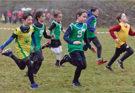  ??  ?? Boys running in the under-10 event at the Community Games Cross Country county championsh­ips at Avondale House.