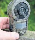  ?? PHOTO: PHIL PICKIN ?? The Ltl Acorn Mini30 camera.