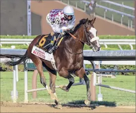  ??  ?? In Tiz the Law’s last start, the Travers winner finished second to Authentic in the Kentucky Derby. A convincing victory in the Breeders’ Cup Classic could put the colt — owned by Saratoga Springs’ Jack Knowlton’s Sackatoga Stable — in contention for Horse of the Year and 3-year-old of the Year honors.