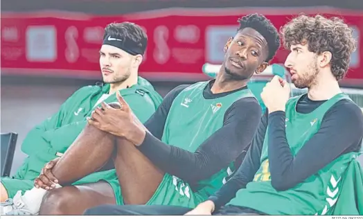  ?? BETIS BALONCESTO ?? De Bisschop, Wembi y Doménech, sentados en el banquillo de San Pablo durante un entrenamie­nto del Betis Baloncesto.