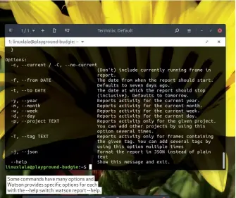  ??  ?? Some commands have many options and Watson provides specific options for each with the --help switch: watson report --help.