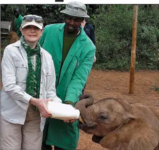  ??  ?? Animal magic: Angela Humphery feeding one of the orphan elephants