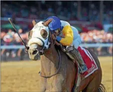  ?? PHOTO CHELSEA DURAND/NYRA ?? Verve’s Tale captured last year’s Summer Colony Stakes on Aug. 20 and returns Sunday to race in the Shuvee Stakes.