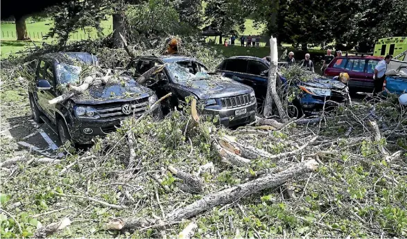  ?? CHRIS MCKEEN ?? One person was injured after a large tree collapsed in Cornwall Park.