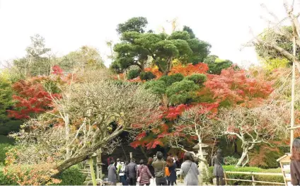  ?? ?? KAMAKURA’S HASADERA TEMPLE is known as “Hase Kannon”, the fourth station among the 33 pilgrimage sites dedicated to Kannon in the Kanto area.