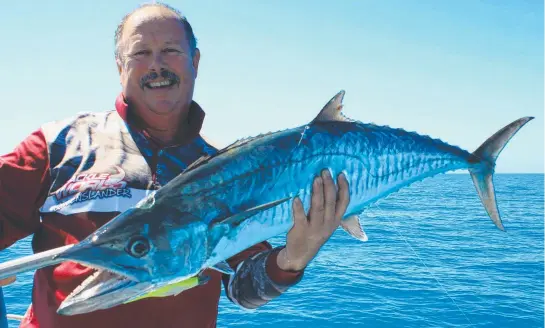  ?? ON THE BITE: Spanish mackerel like this one caught by Steve Greenwell are hungry in the shipping channel and wide of Magnetic Island. ??