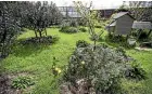  ??  ?? A look around Keren Newbrook’s sustainabl­e garden in New Plymouth.