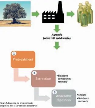  ??  ?? Figura 1. Esquema de la biorrefine­ría propuesta para la varolizaci­ón del alperujo.