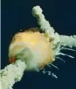  ??  ?? Challenger exploded shortly after lifting off on Jan. 28, 1986.