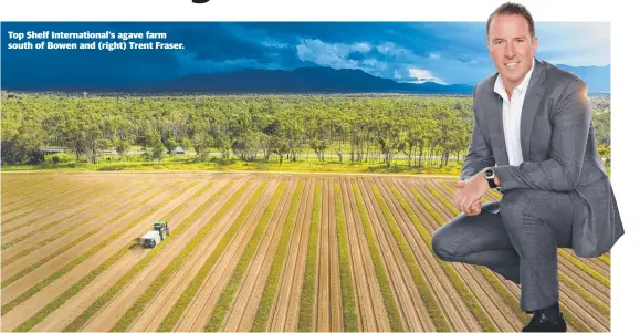  ??  ?? Top Shelf Internatio­nal's agave farm south of Bowen and (right) Trent Fraser.