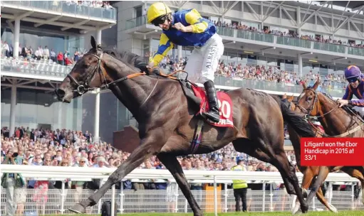  ??  ?? Litigant won the Ebor Handicap in 2015 at 33/1