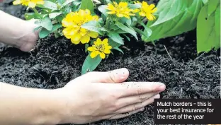  ??  ?? Mulch borders – this is your best insurance for the rest of the year