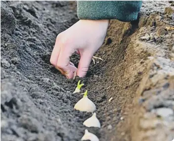  ??  ?? This is a good time to start a vegetable patch