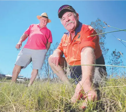  ?? Picture: Glenn Hampson ?? Veteran developer Norm Rix (left) says a protected species of grass is preventing him from developing land in Jacobs Well. The 4ha block is owned by Tony Huth (right).