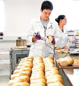  ?? ESPECIAL ?? Científico­s del Cimmyt analizan la calidad del trigo para hacer pan.