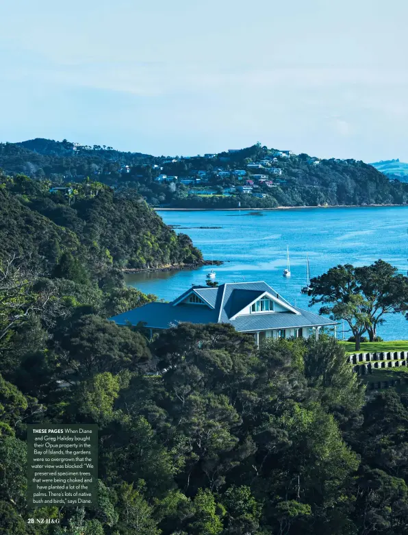  ??  ?? THESE PAGES When Diane and Greg Haliday bought their Opua property in the Bay of Islands, the gardens were so overgrown that the water view was blocked: “We preserved specimen trees that were being choked and have planted a lot of the palms. There’s lots of native bush and birds,” says Diane.