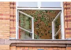  ?? FOTO: DPA ?? Ein Fenster einer an einer Grundschul­e ist zum Lüften geöffnet.