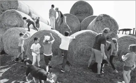  ??  ?? Campers climb a stack of round bales to learn a little more about the farm before having a game of tag along the rows of hay.