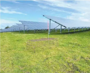  ?? Photo / Supplied ?? Solar panels on the farm in Taranaki where the trial is taking place.