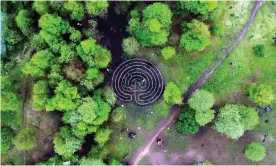  ?? Photograph: National Theatre of Scotland ?? Aerial view of the Children’s Wood and North Kelvin Meadow.