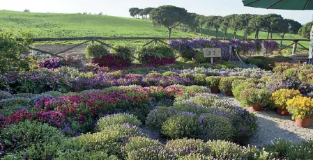  ??  ?? Parco di Veio Un’immagine di Floracult, da venerdì ai Casali del Pino. Il tema di quest’anno sono le piante che migliorano la qualità dell’aria