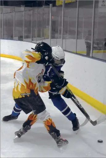  ?? ARCENIO J. TRUJILLO/Taos News ?? Taos Ice Tiger BreAnna Taylor and a Santa Fe Blue Jacket get tangled up behind the Taos net in the final stanza of their match Feb. 2. The game was the second of a home-and-home series between the two evenly paired teams, with Taos earning the win in both clashes.