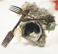  ??  ?? Forks stuck in a chunk of melted glass are among the pieces of debris that helped inspire Donzelli to begin sculpting works made from objects damaged by the Wine Country fires.