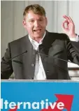  ?? Foto: dpa ?? Sachsen Anhalts AfD Chef André Pog genburg bei seiner Rede.