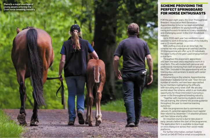  ??  ?? There is a major shortage of young people entering the Irish horse breeding industry