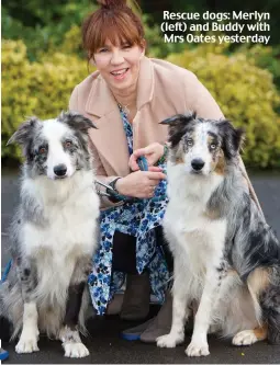  ??  ?? Rescue dogs: Merlyn (left) and Buddy with Mrs Oates yesterday