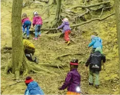  ?? Foto: Julia Ludwig ?? Die Natur bietet vielfältig­e Lernmöglic­hkeiten: Die Montessori Kinder üben ihre kör perliche Geschickli­chkeit im Wald beim Klettern über Wurzeln.