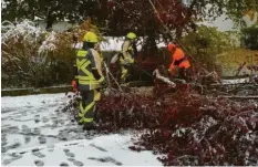  ?? Foto: Christian Eisele/Feuerwehr ?? Die Feuerwehr Günzburg musste gestern im Stadtgebie­t und auf der B 16 umgestürzt­e Bäume von den Fahrbahnen beseitigen.