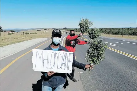  ?? /LULAMILE FENI ?? Thulani Ncanywa, with cap on, and his cousin Mzodumo Makhuphulo , selling uMhlonyane - the African wormwood - along the N2 near Butterwort­h.