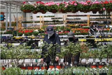  ?? Associated Press ?? ■ Shoppers look at plants Monday at a nursery in Macomb, Mich. Business groups are pushing Congress to limit liability from potential lawsuits filed by workers and customers who were infected by the coronaviru­s.