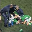  ??  ?? Helping hands: Shane Long tries to comfort a stricken Seamus Coleman